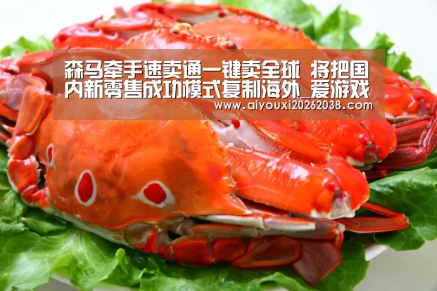 森马牵手速卖通一键卖全球 将把国内新零售成功模式复制海外_爱游戏直播(图3) 爱游戏直播