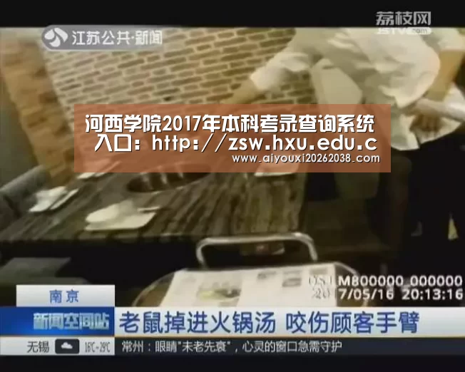 河西学院2017年本科考录查询系统 入口:http://zsw.hxu.edu.cn/lqsearch‘爱游戏体育’(图1) 爱游戏体育